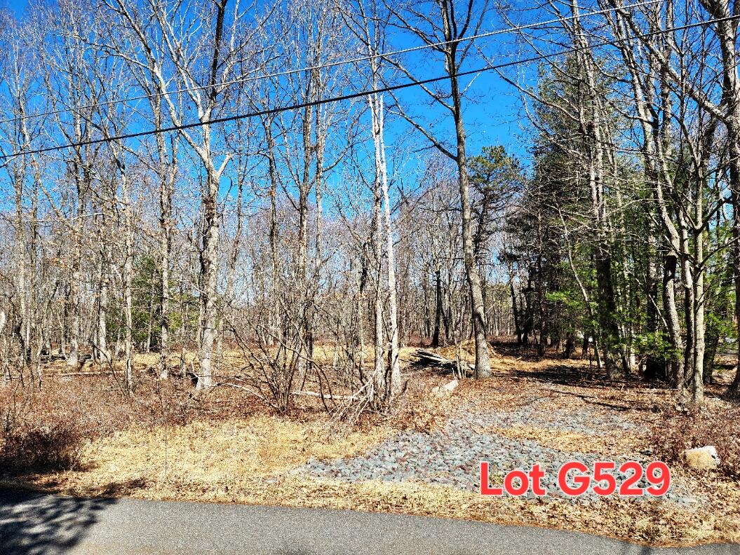 Lot G529 Pinoak Drive, Jim Thorpe, Pennsylvania image 1