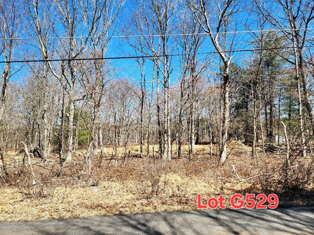 Lot G529 Pinoak Drive, Jim Thorpe, Pennsylvania image 3