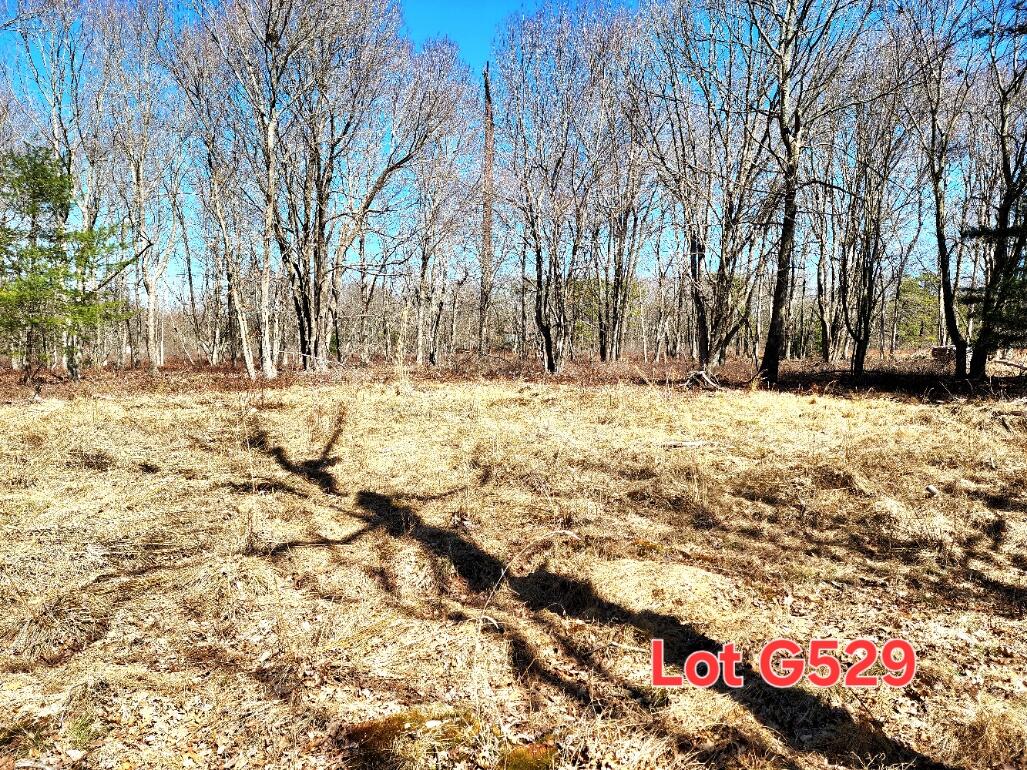 Lot G529 Pinoak Drive, Jim Thorpe, Pennsylvania image 2
