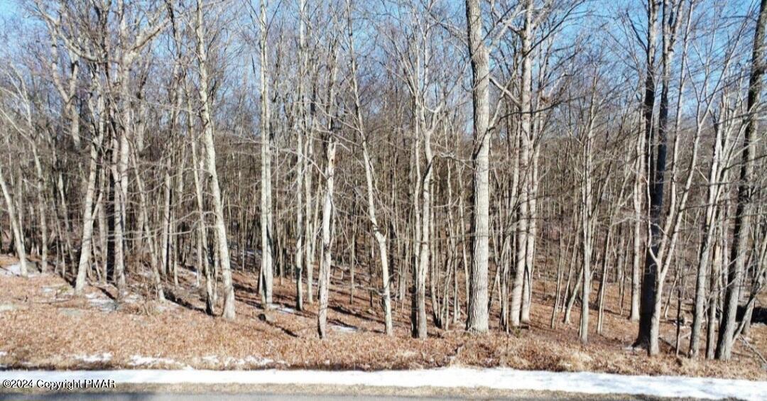 LOT 15 Brandyshire Drive, Tamiment, Pennsylvania image 9