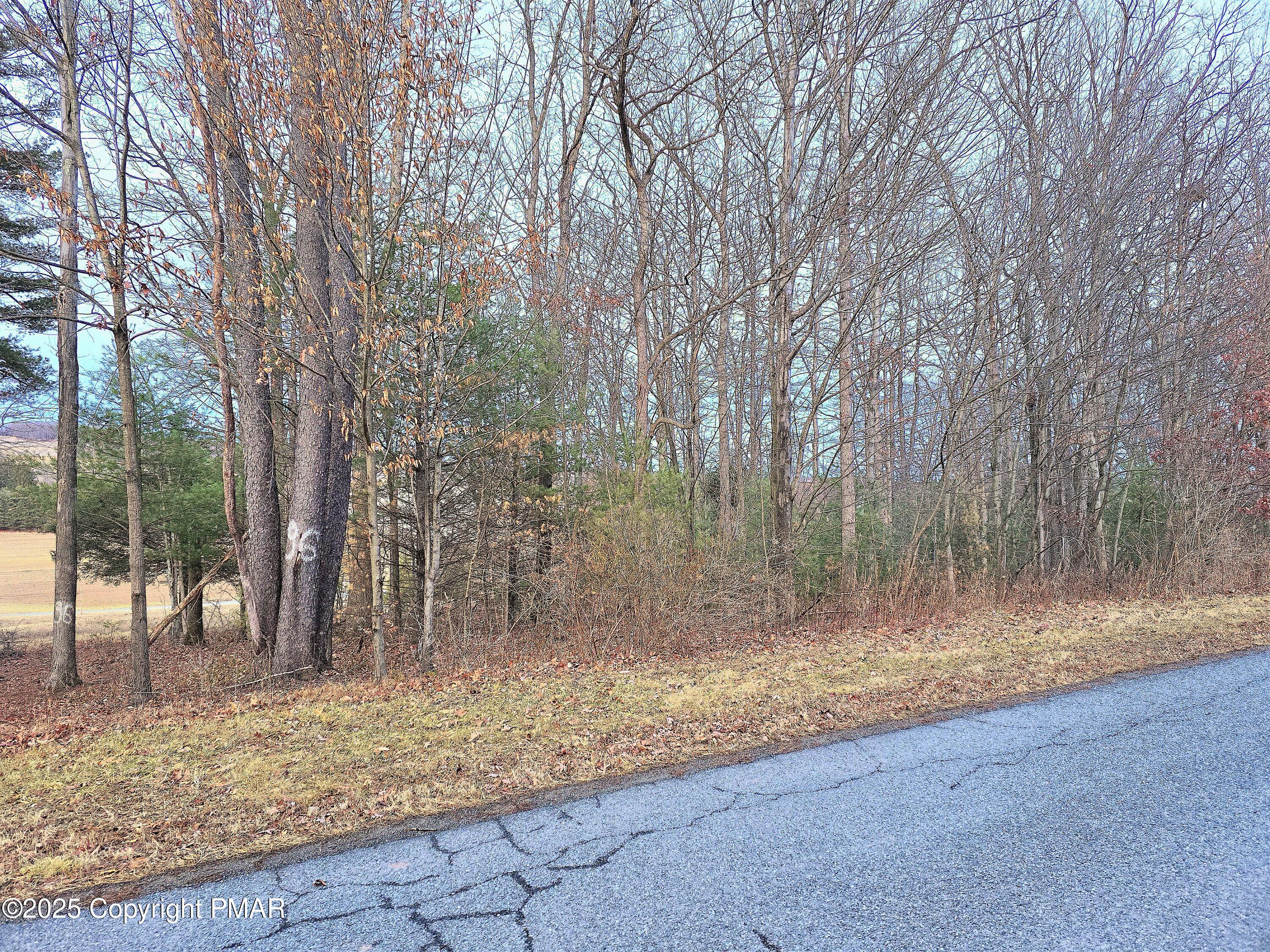 Eagle View Drive, New Ringgold, Pennsylvania image 4