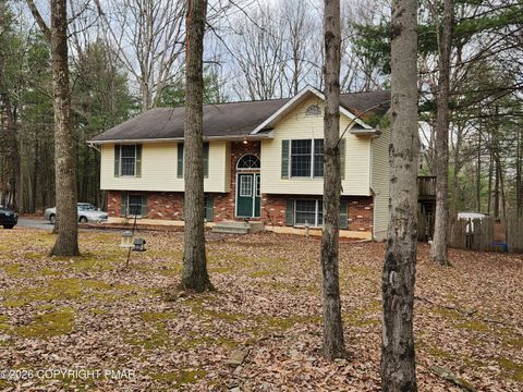 Homes For Sale - 1600 Red Pine Lane<br/> Monroe County, Effort, PA 18330