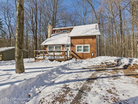 169 Minisink Drive Pocono Lake PA 18347