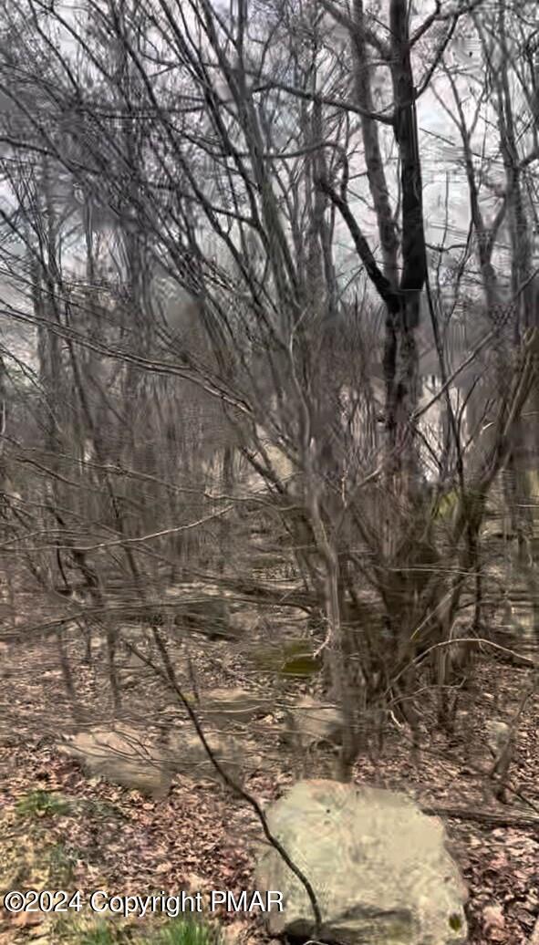 Stony Hollow Cir 608, Tobyhanna, Pennsylvania image 3