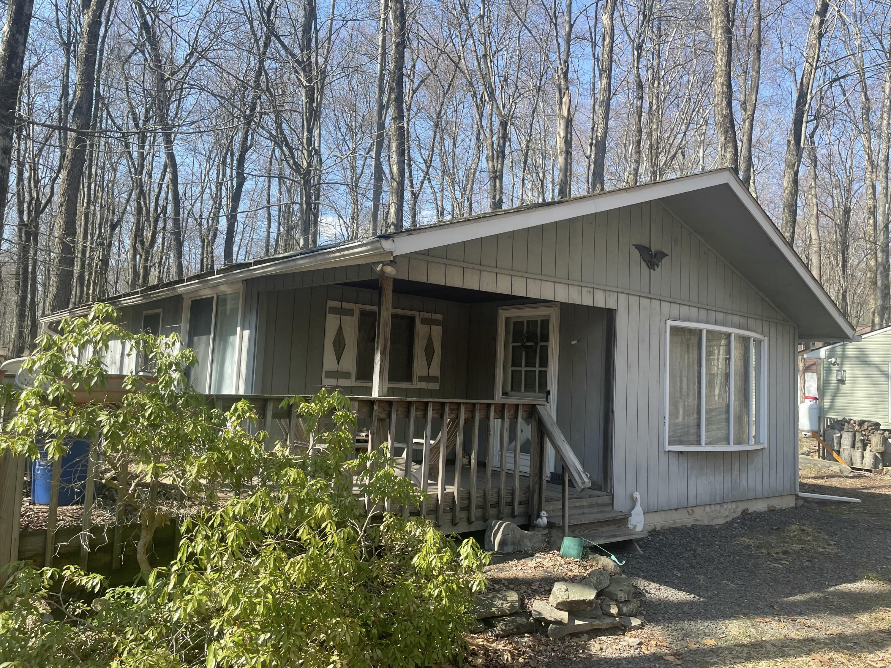 117 Tommys Lane Ln, Pocono Lake, Pennsylvania image 2