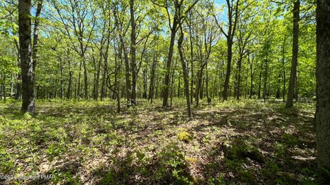 Lot 151 BEAR Drive Bushkill PA 18324