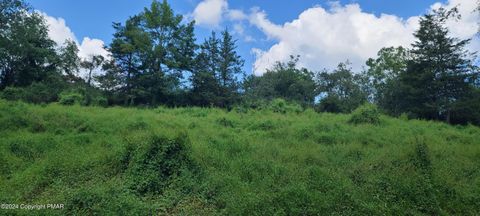 Vacant Land For Sale - LOT Edgemont Rd Road<br/> Stroudsburg, PA 18360