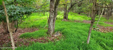 EV1305 Lipo Way Albrightsville PA 18210