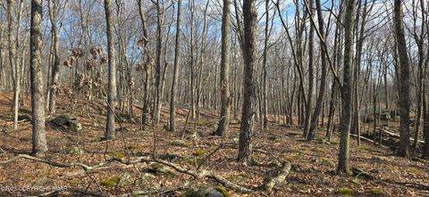 Cowaw Rd Milford PA 18337