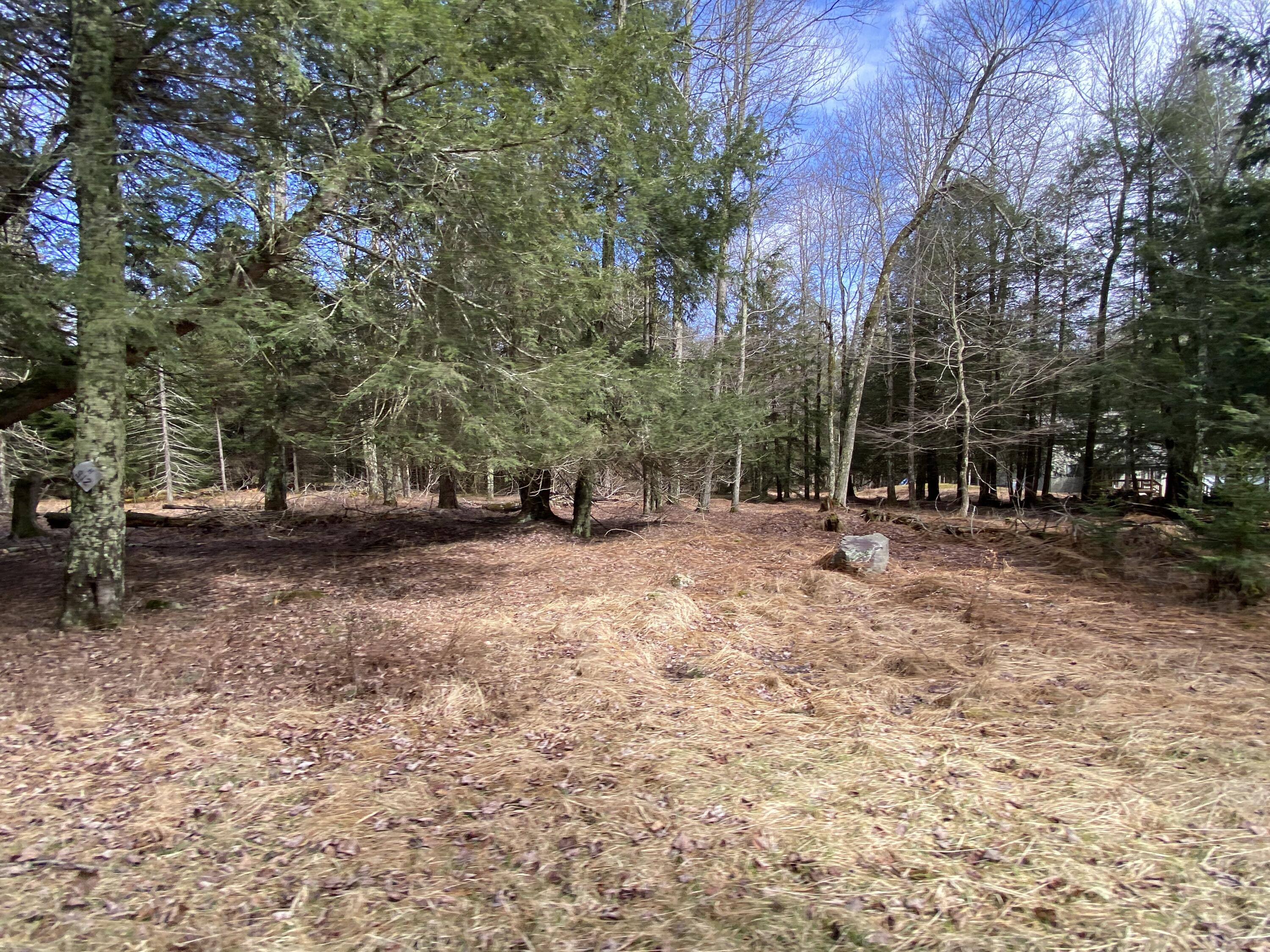 1025 W Wadi Road, Pocono Lake, Pennsylvania image 1