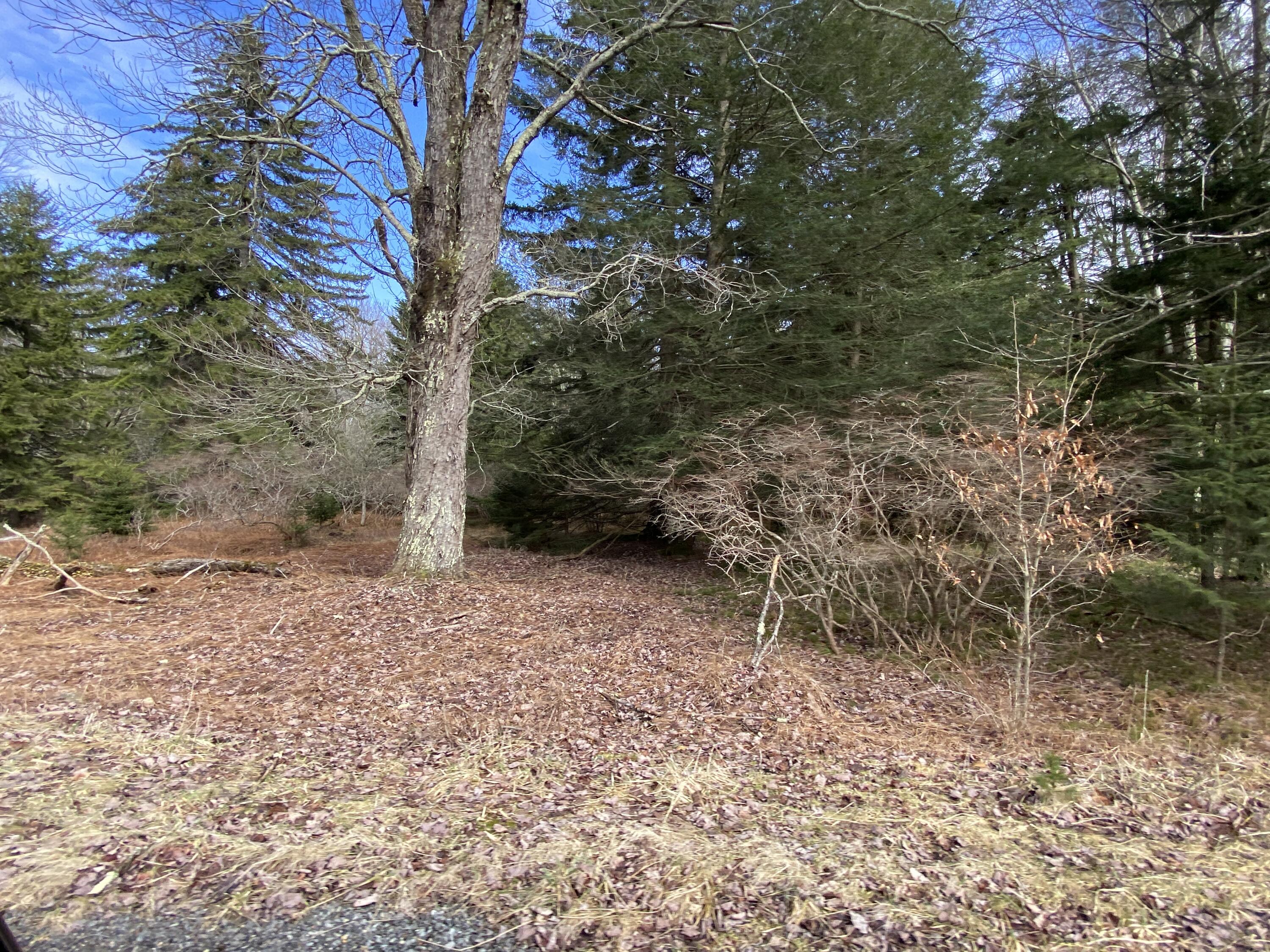 1025 W Wadi Road, Pocono Lake, Pennsylvania image 20