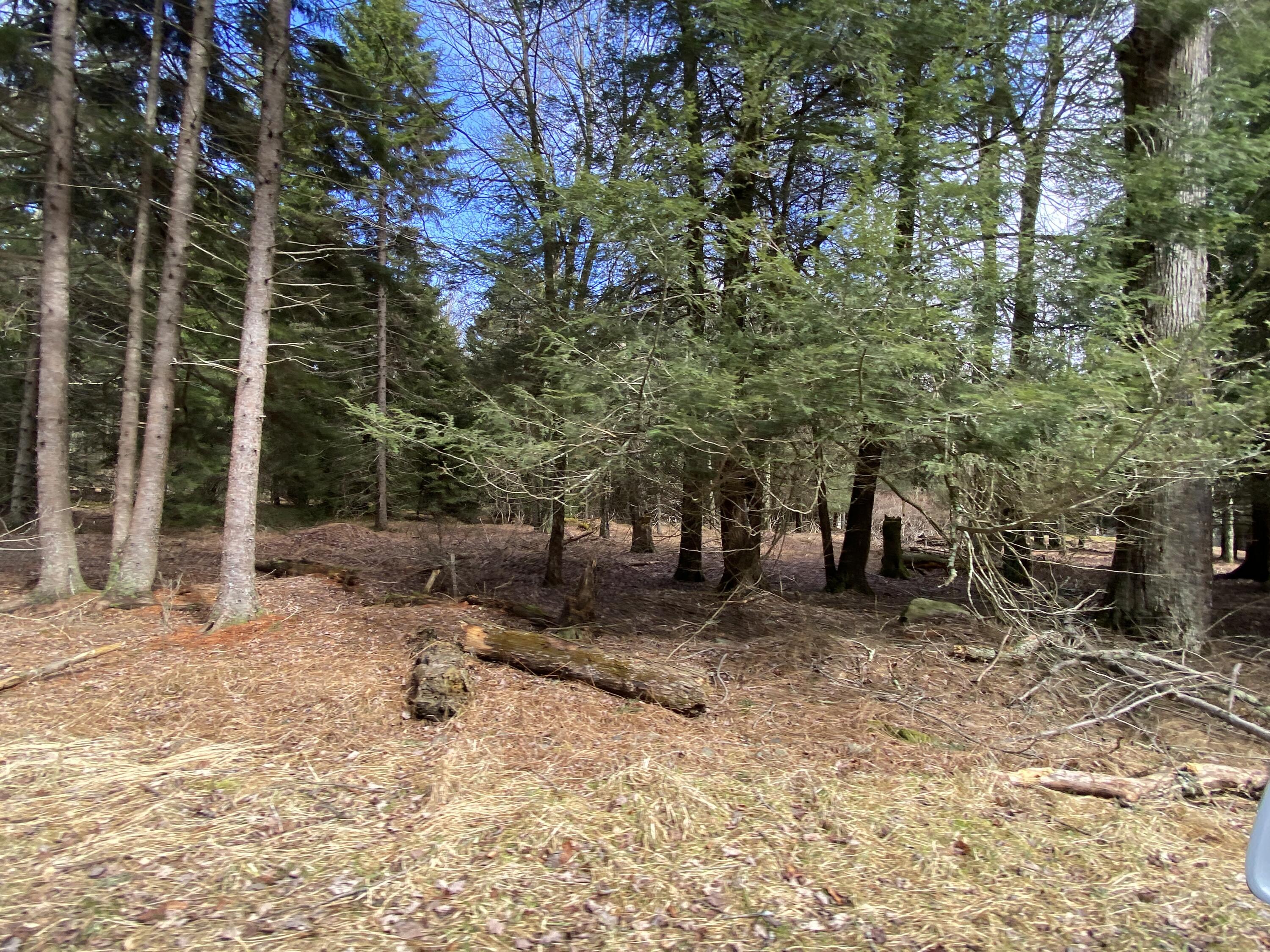 1025 W Wadi Road, Pocono Lake, Pennsylvania image 3