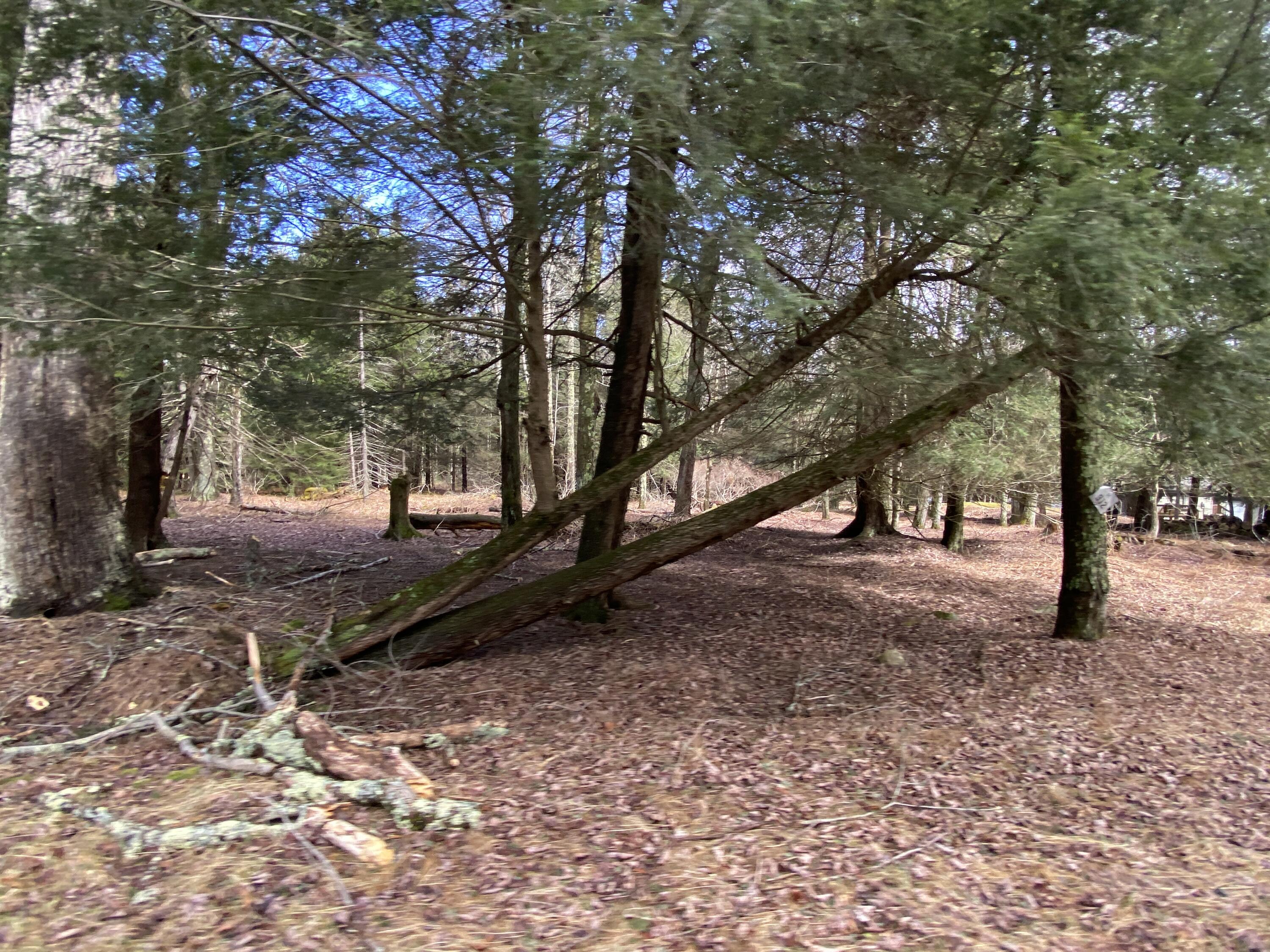 1025 W Wadi Road, Pocono Lake, Pennsylvania image 19