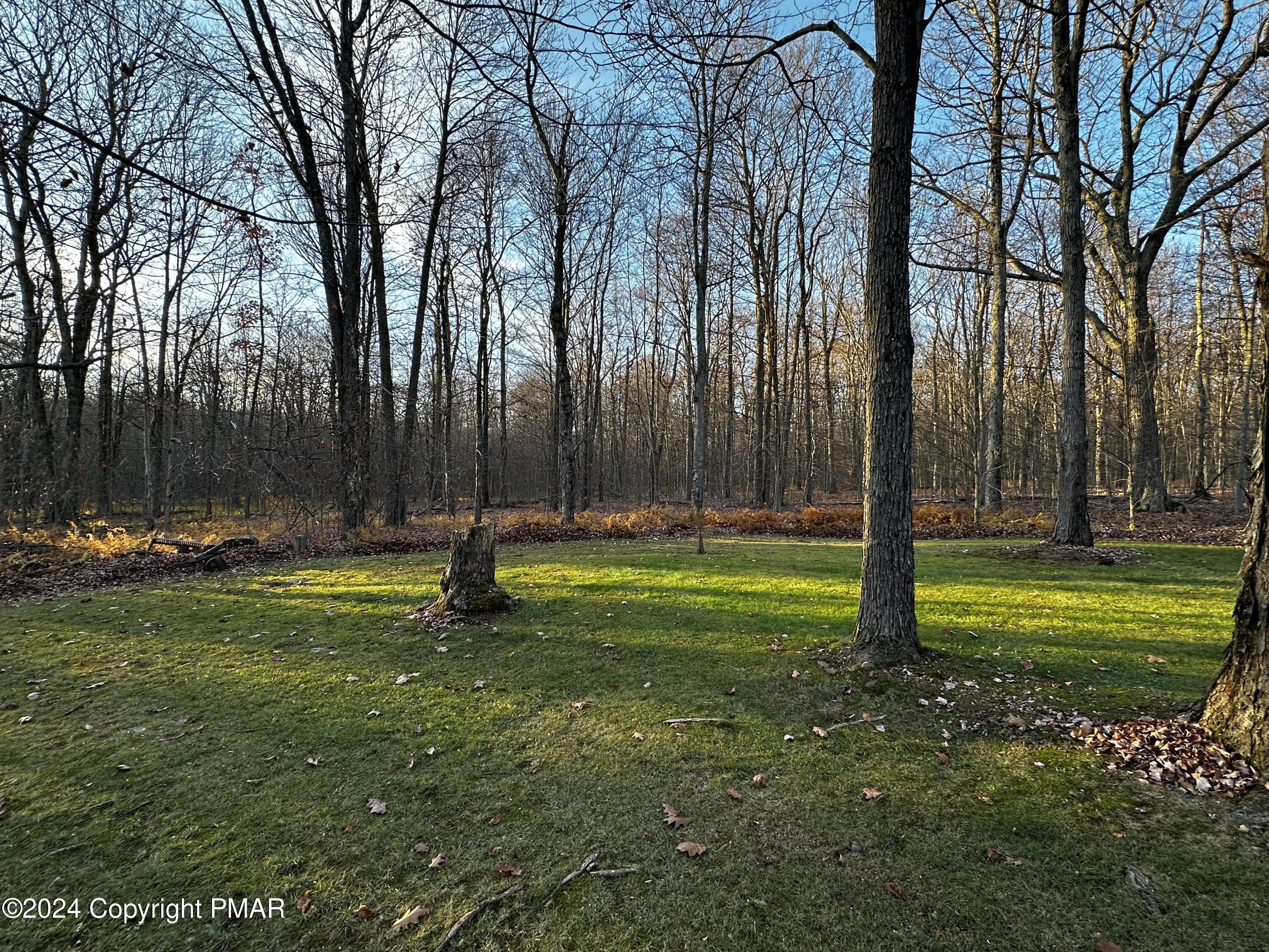 2173 Little Billy Lane, Tobyhanna, Pennsylvania image 4