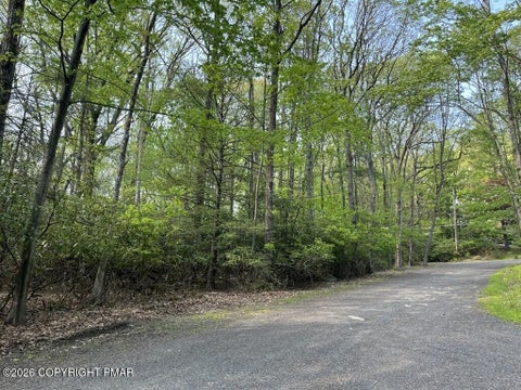 Vacant Land For Sale - 302 Aspen Way<br/> Tannersville, PA 18372