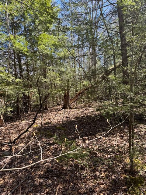 Vacant Land For Sale - Arthur Cir 1411<br/> Tobyhanna, PA 18466