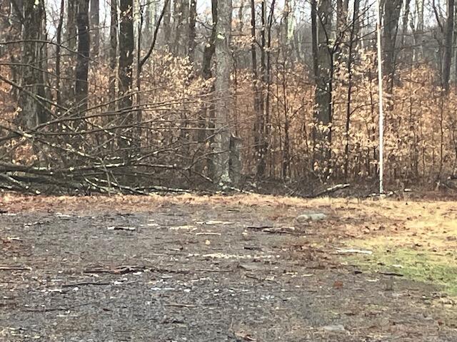 1584 Woodpecker Road, Gouldsboro, Pennsylvania image 22