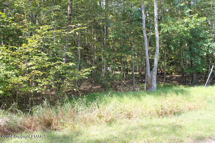 #21 Omaha Trail, Pocono Lake, Pennsylvania image 5