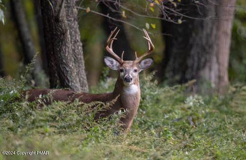 412 Deerfield Road Tobyhanna PA 18466