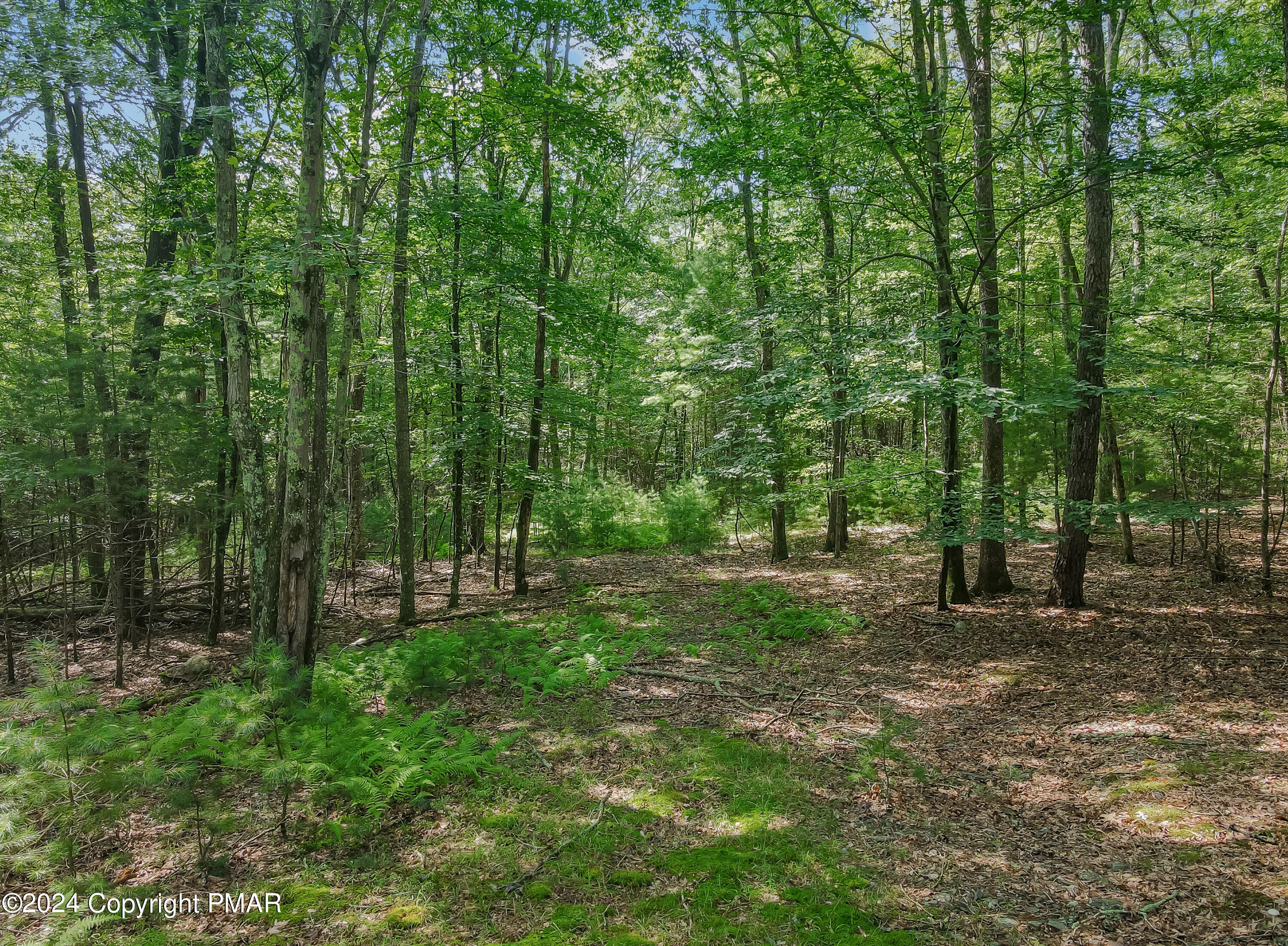 1219 Sherwood Forest Road, Stroudsburg, Pennsylvania image 4