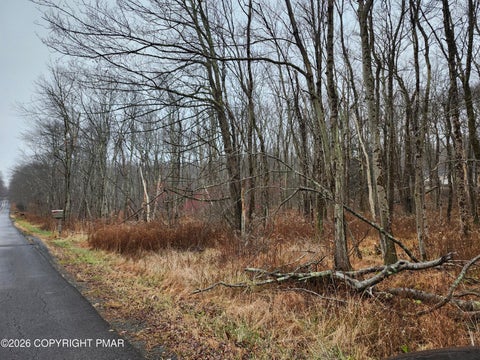 Vacant Land For Sale - Oak View Lane<br/> Monroe County, Tobyhanna, PA 18466