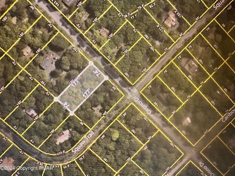 Vacant Land For Sale - Orono Drive<br/> Monroe County, Pocono Lake, PA 18347