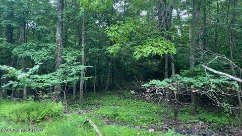 Vacant Land For Sale - 263 Buck Fever Trail<br/> Scotrun, PA 18355