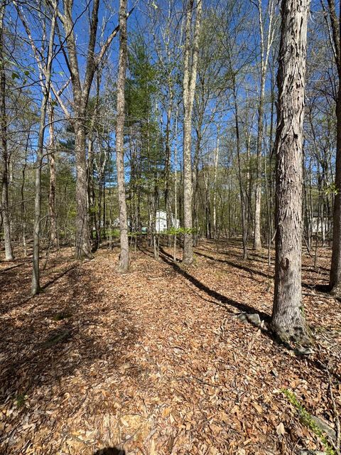 Vacant Land For Sale - Charles Folly Rd 218<br/> Bartonsville, PA 18321