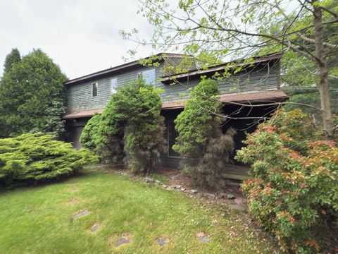 402 shinymountain Court Greentown PA 18426