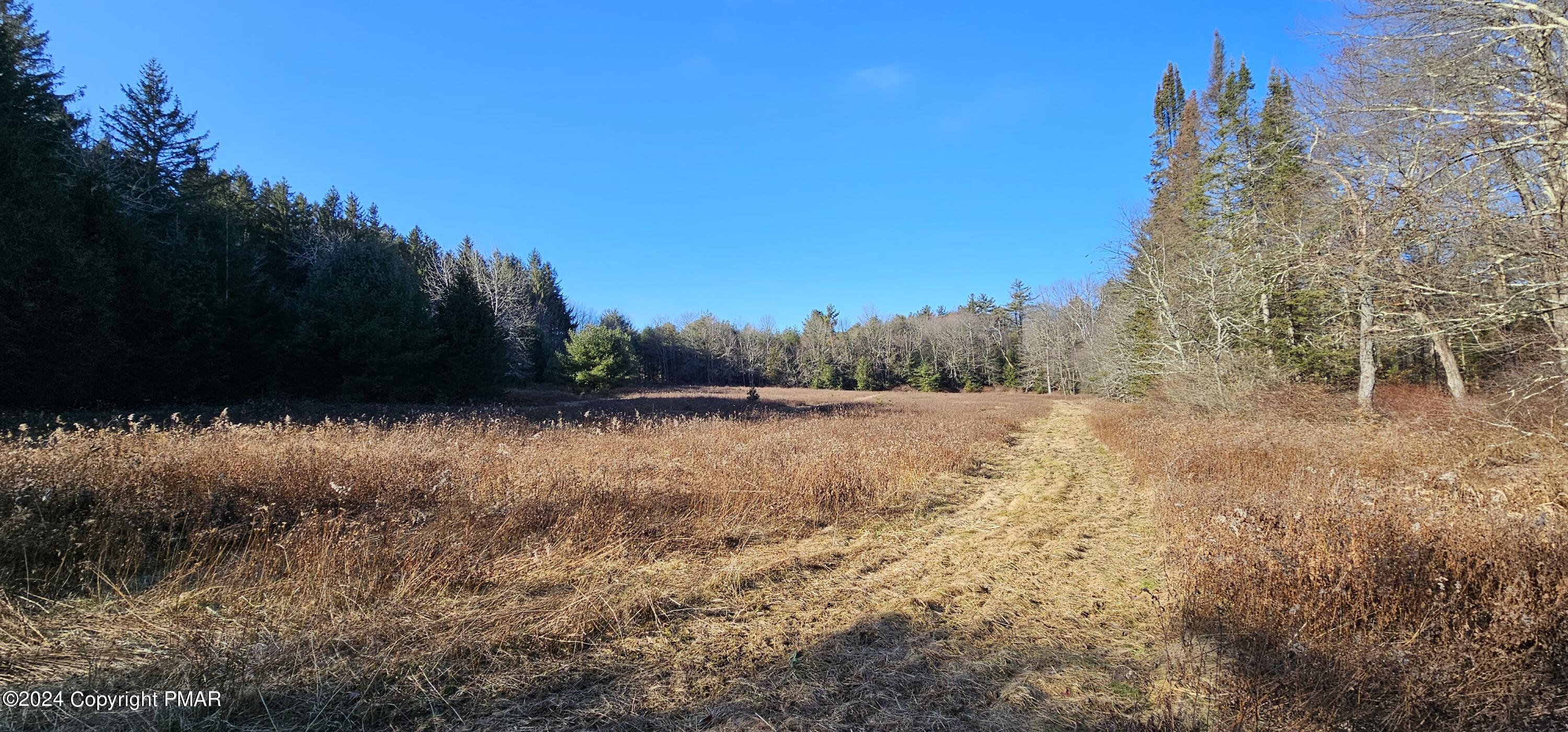 A10.01 State Rte 534 & N. Meckesville Road, Albrightsville, Pennsylvania image 3