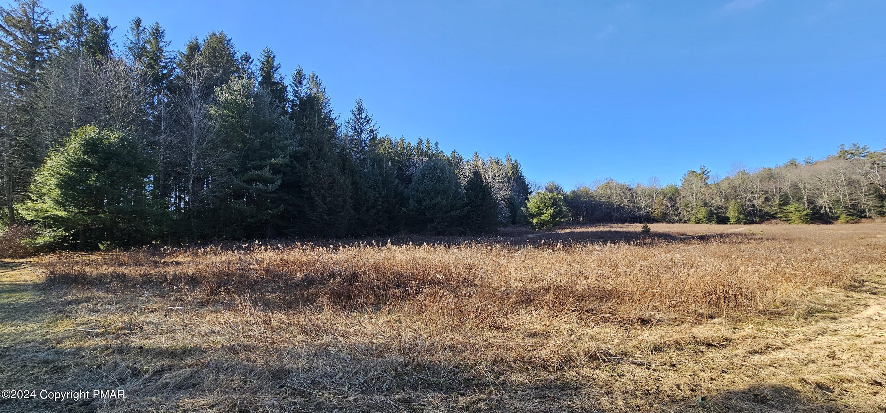 A10.01 State Rte 534 & N. Meckesville Road, Albrightsville, Pennsylvania image 9