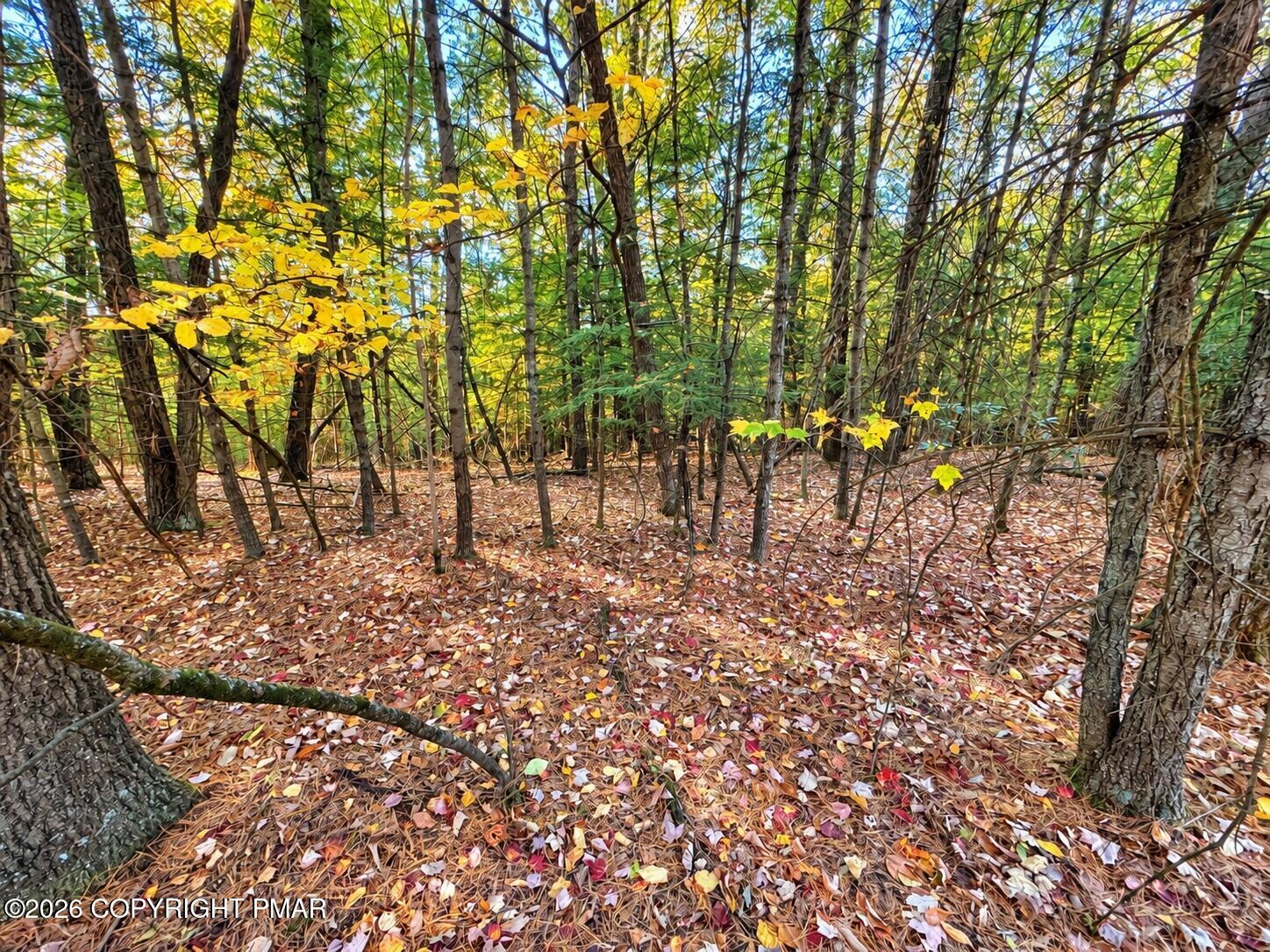 Turkey Ridge Road