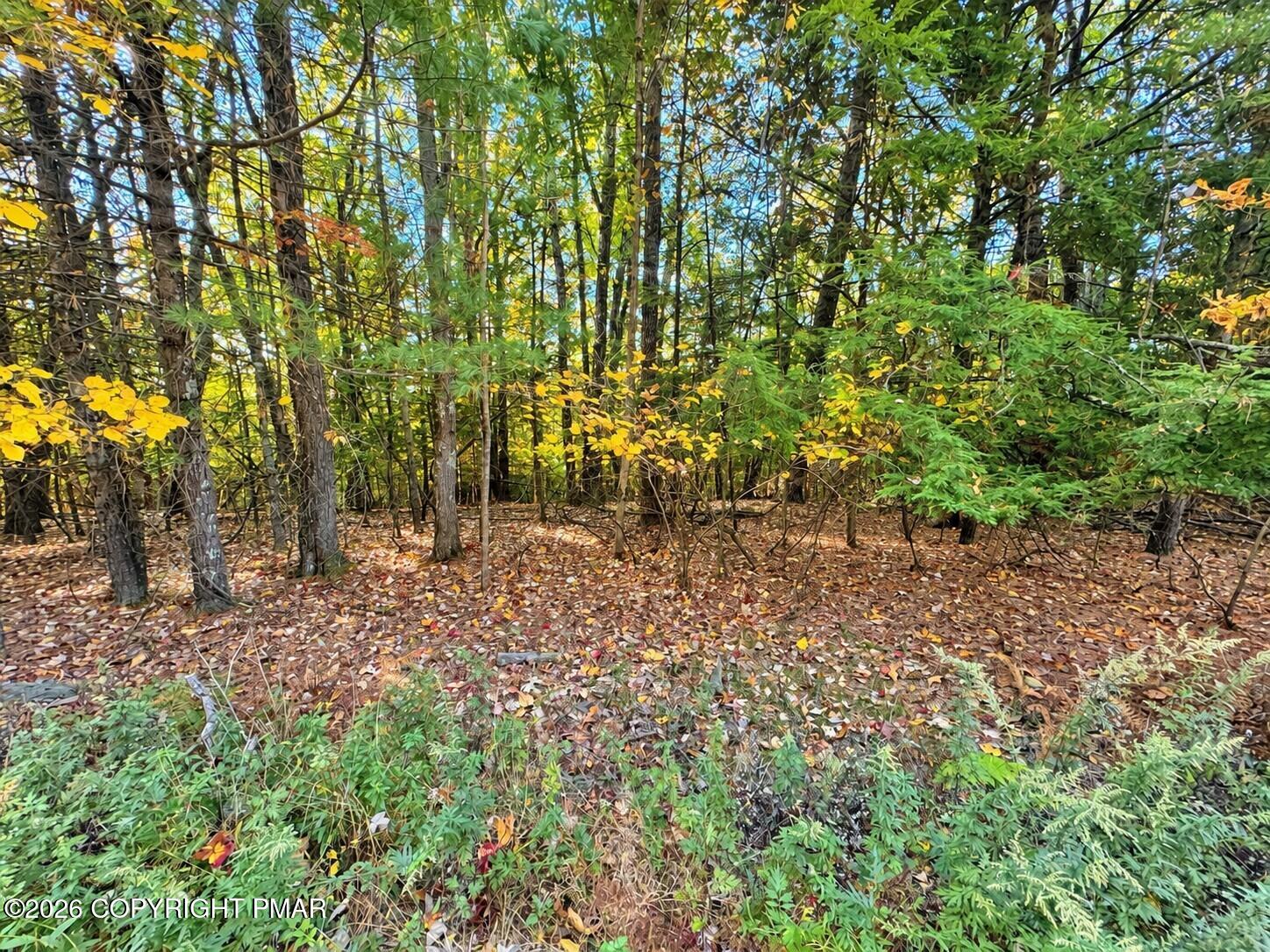 Turkey Ridge Road
