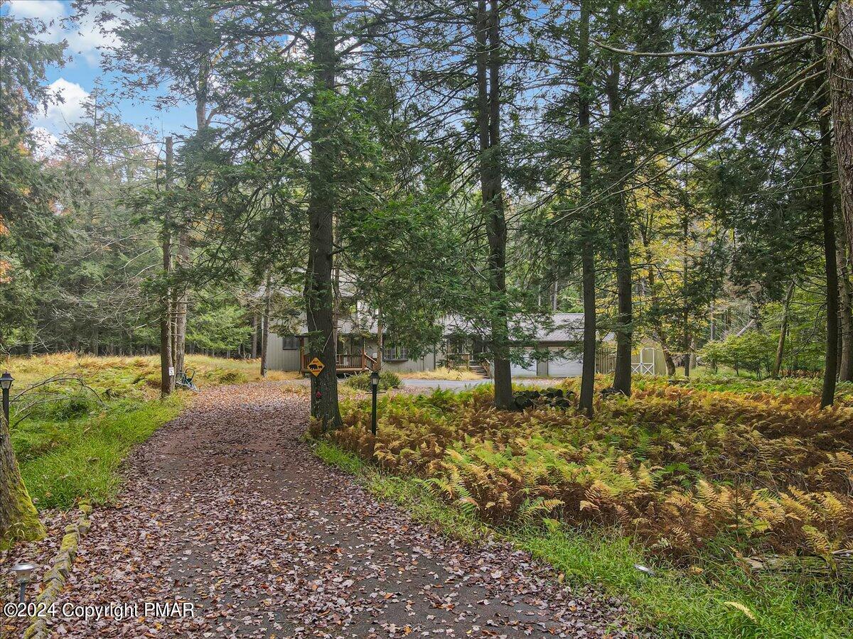 251 Sawmill Road, Pocono Lake, Pennsylvania image 5