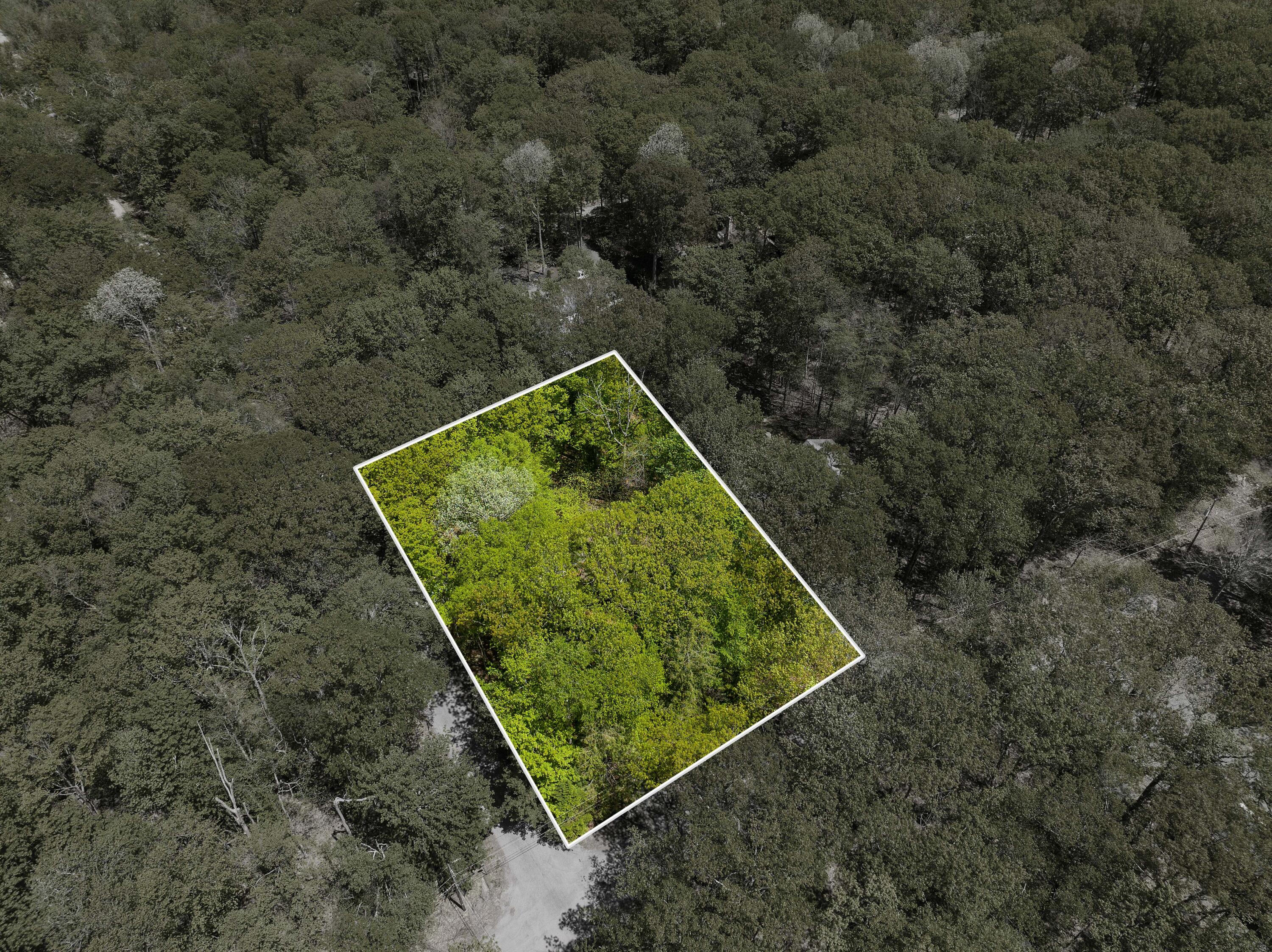 236 Ridge Rd Rd, Pocono Lake, Pennsylvania image 41