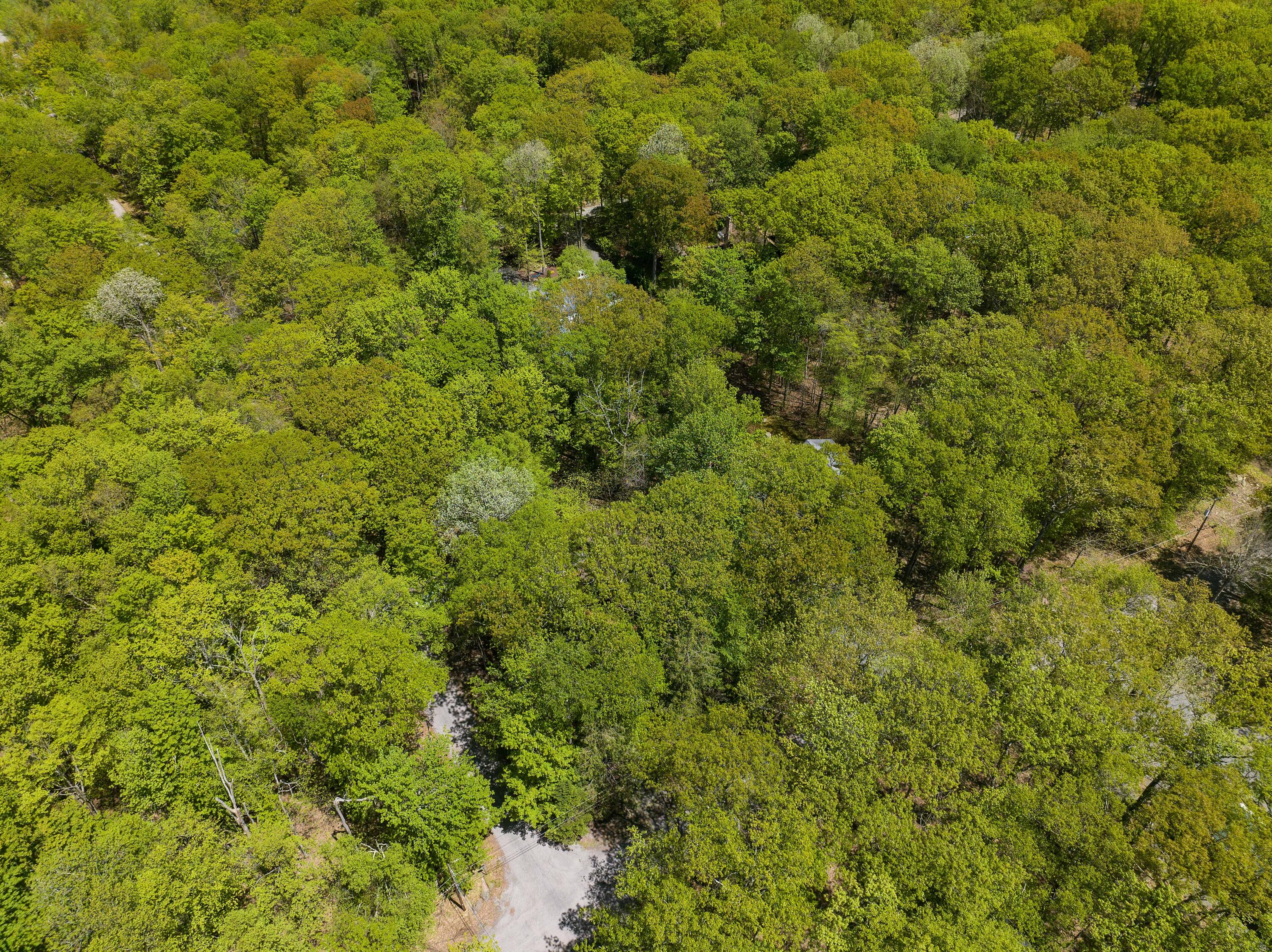 236 Ridge Rd Rd, Pocono Lake, Pennsylvania image 40