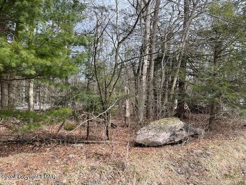 1507 Evergreen Road Pocono Pines PA 18350