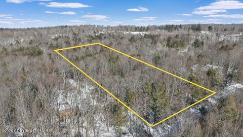 Vacant Land For Sale - Daffodil Drive<br/> Newfoundland, PA 18445