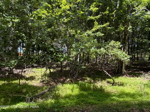 Vacant Land For Sale - KIV1014 Basswood Court<br/> Albrightsville, PA 18210