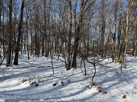 Vacant Land For Sale - KIV1014 Basswood Court<br/> Albrightsville, PA 18210