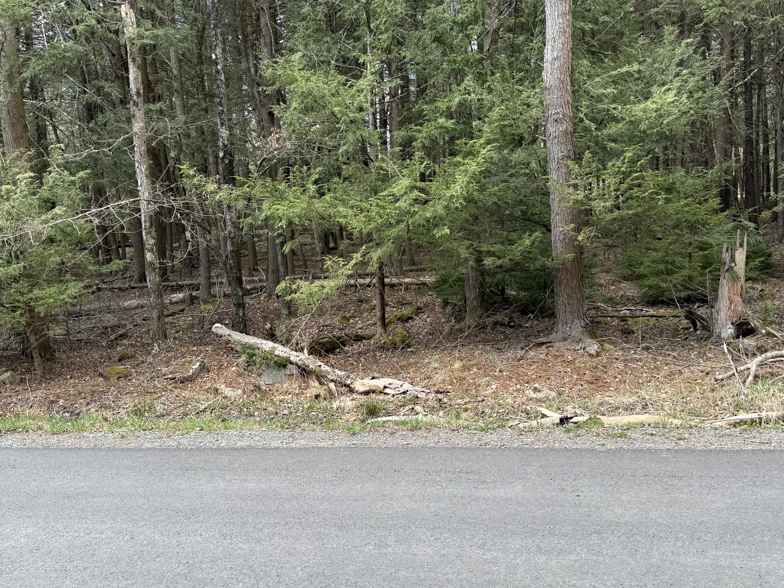 170 / 171 Sir Gawain Court, Pocono Lake, Pennsylvania image 5