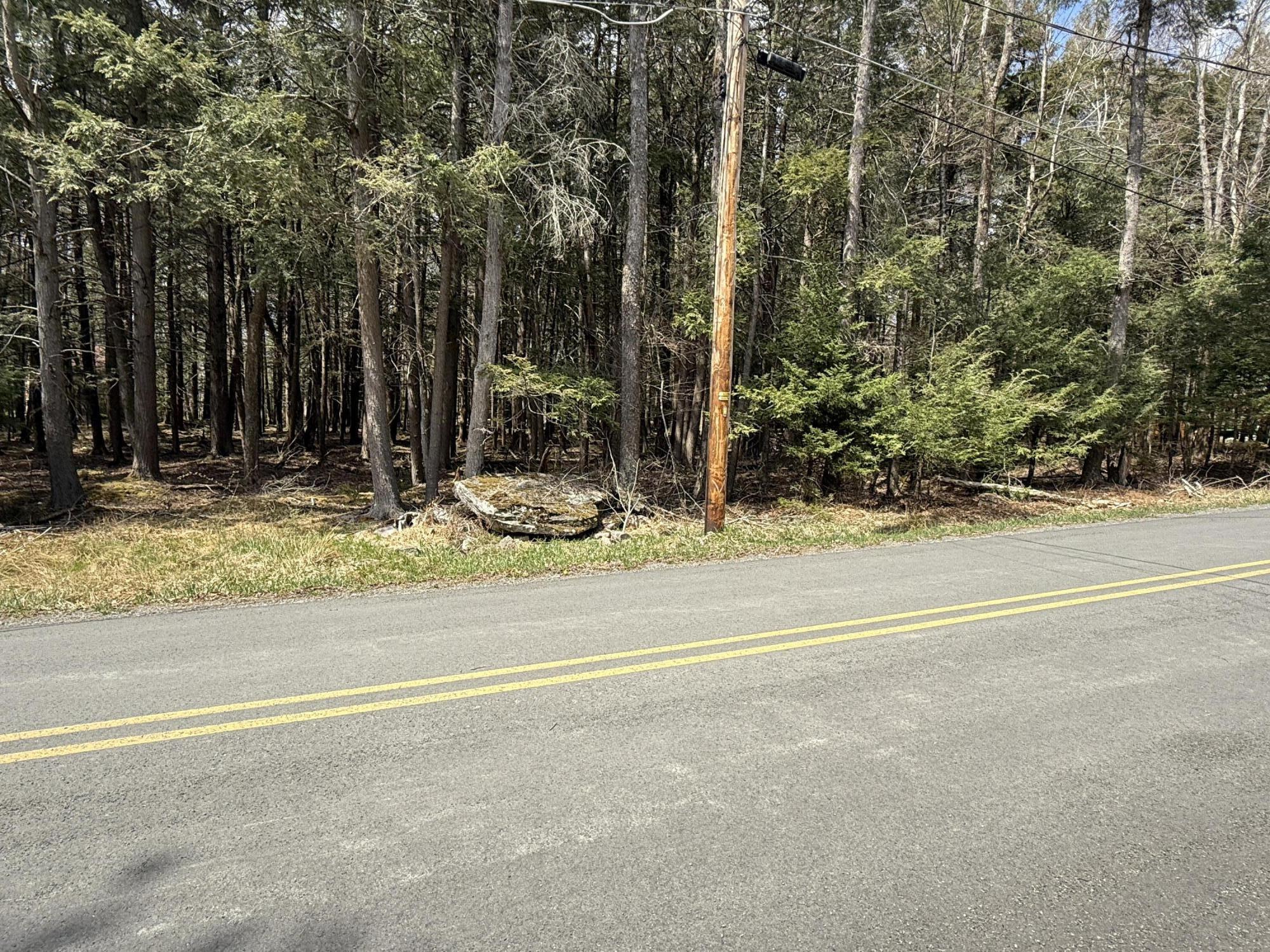 170 / 171 Sir Gawain Court, Pocono Lake, Pennsylvania image 4