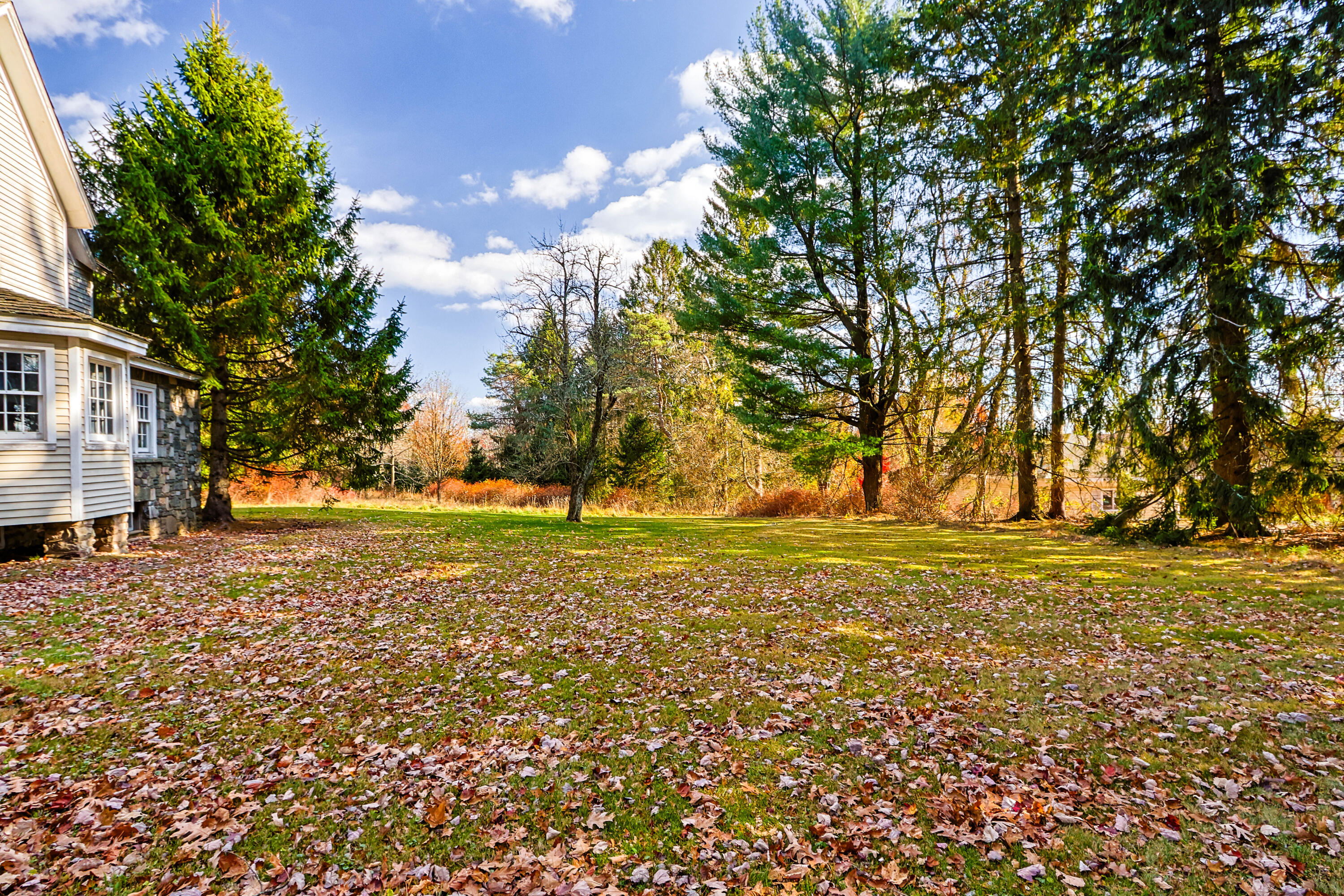 2872 Route 390-skytop, Canadensis, Pennsylvania image 6