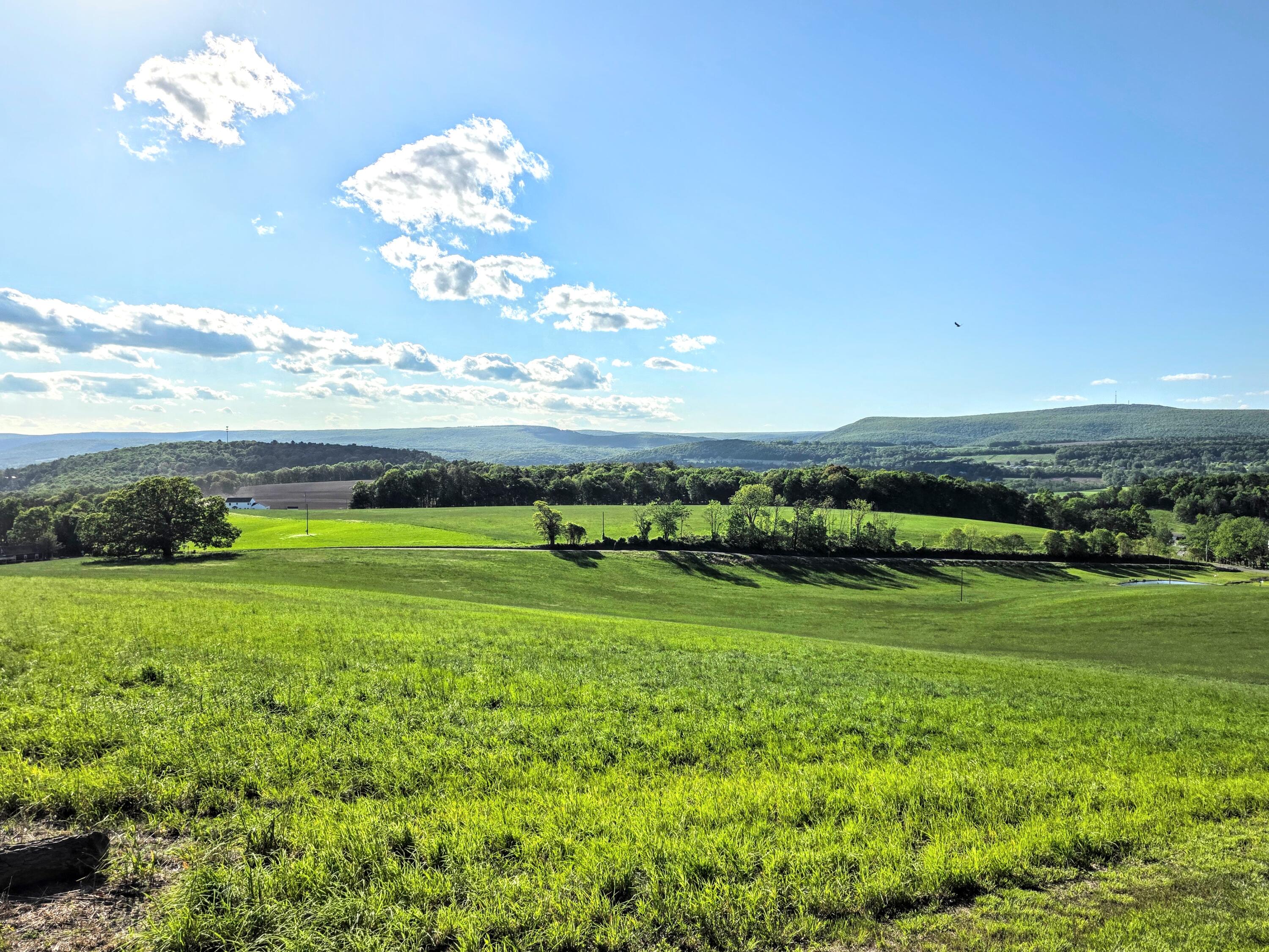 1277 Cherry Hill Road, Palmerton, Pennsylvania image 5