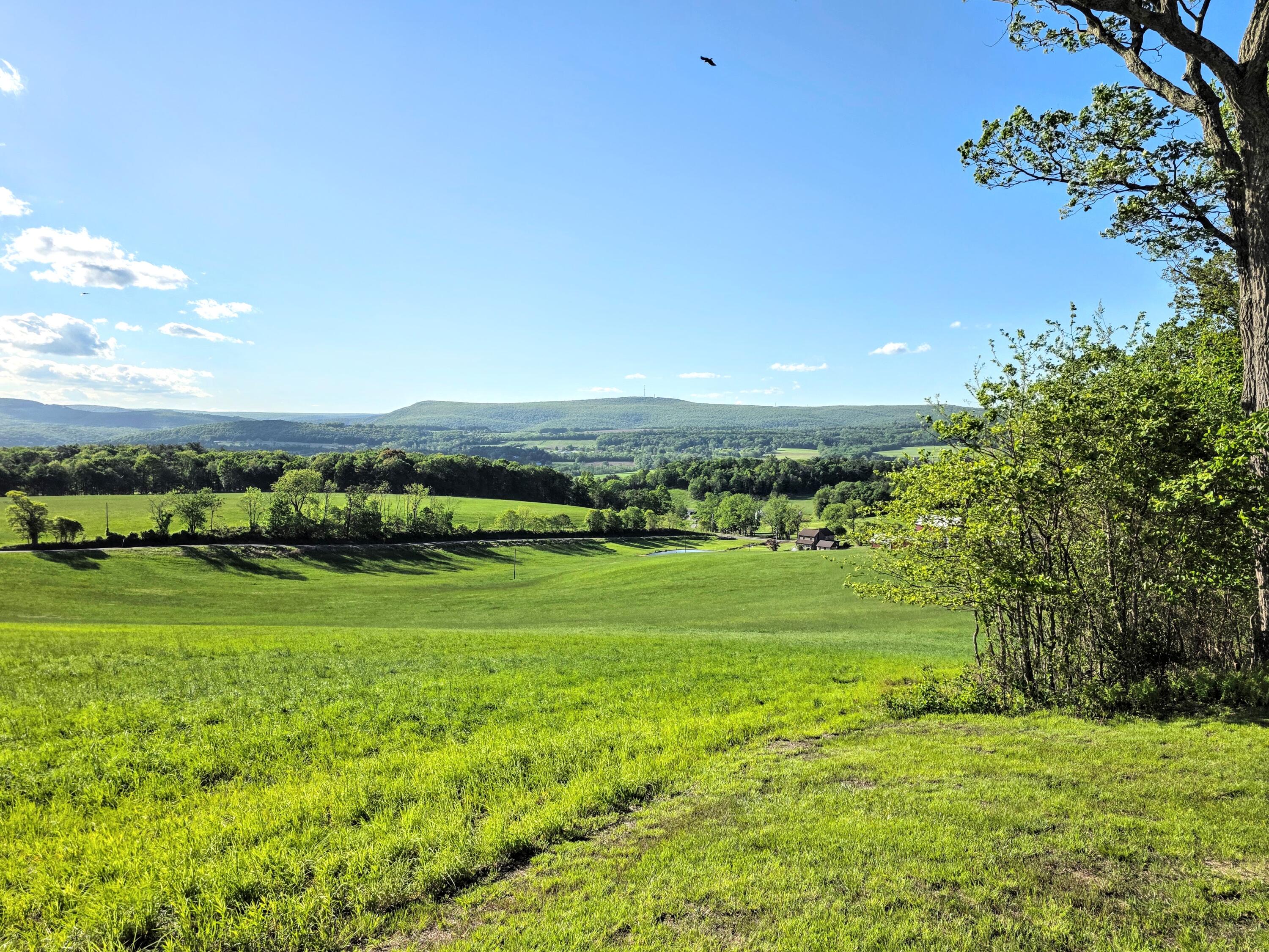 1277 Cherry Hill Road, Palmerton, Pennsylvania image 4