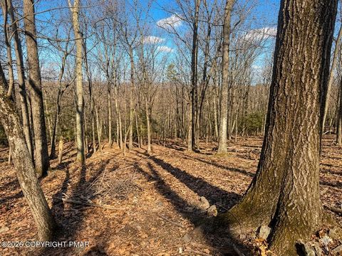 Vacant Land For Sale - 318 Cardinal Road<br/> Cresco, PA 18326