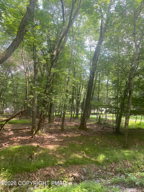 Vacant Land For Sale - 6003 Scenic Drive<br/> Albrightsville, PA 18210