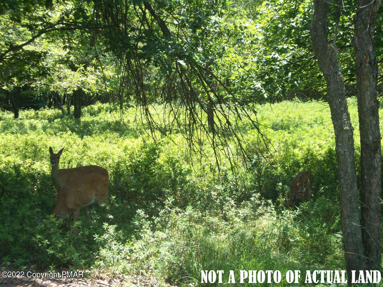 A39 Towamensing Trail/dryden Drive, Albrightsville, Pennsylvania image 1