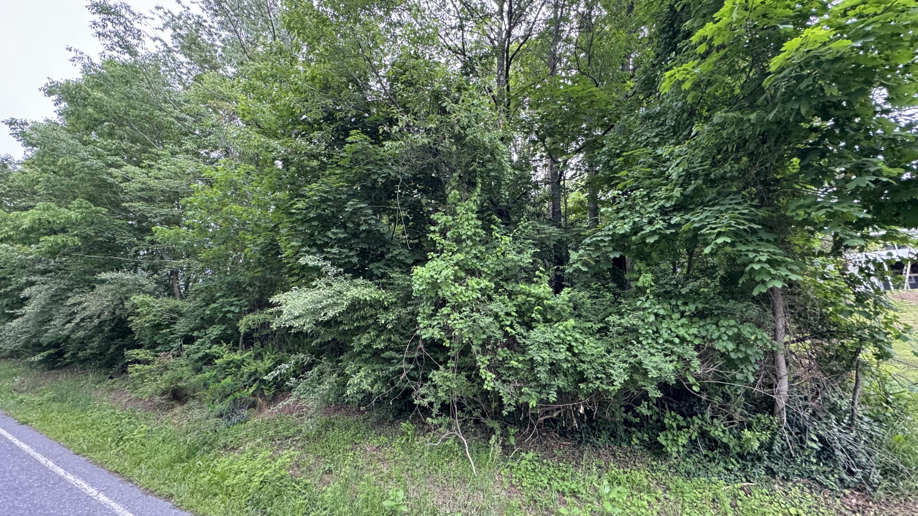 Ashley Ct H15 Court, Kunkletown, Pennsylvania image 11