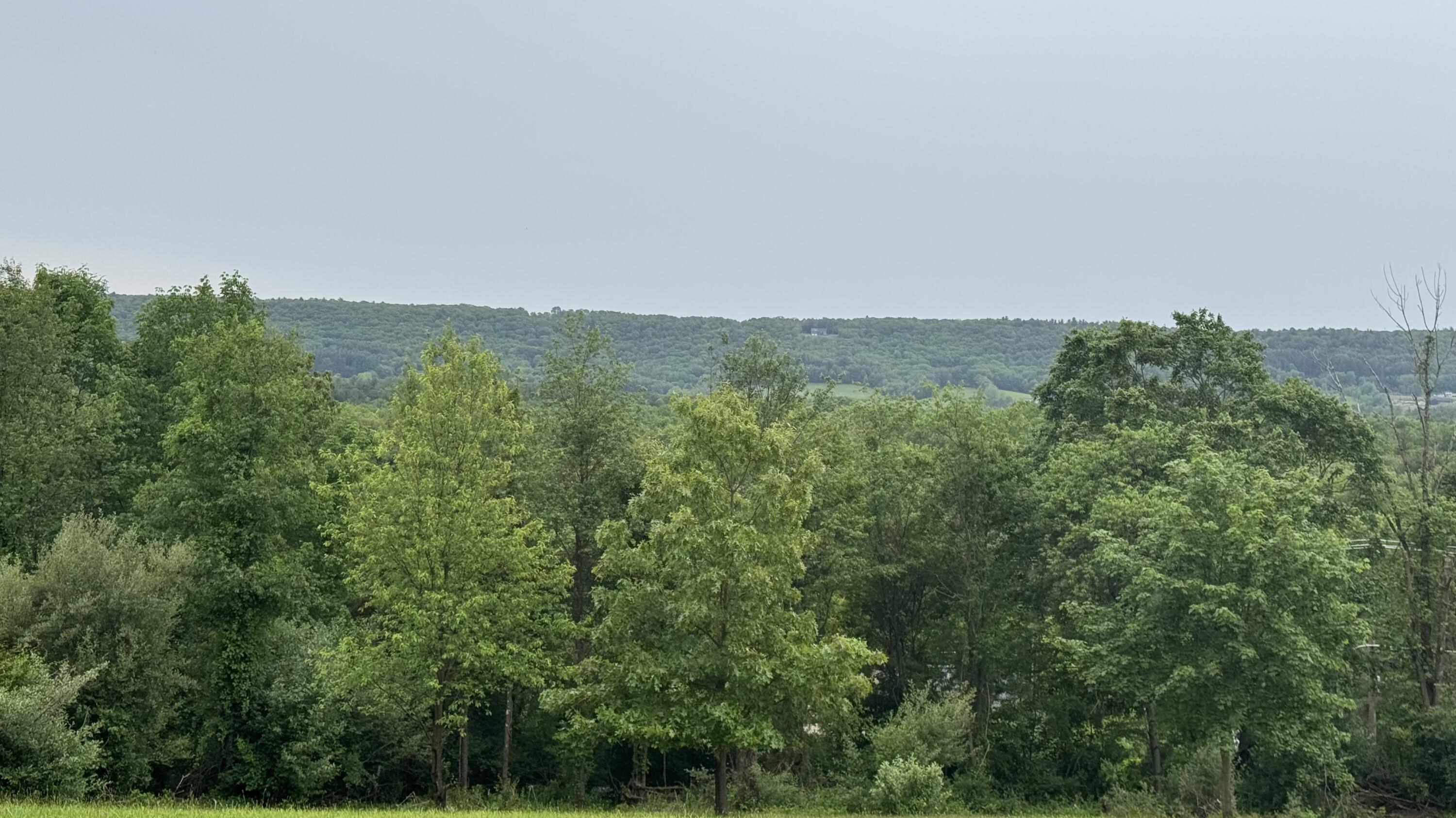 Ashley Ct H15 Court, Kunkletown, Pennsylvania image 7